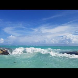 Meet your Posher, Tara